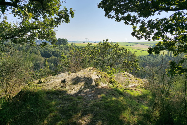 A glimpse of Eden
