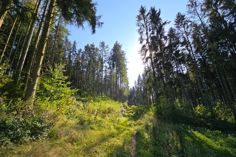 20240917_162356.jpg