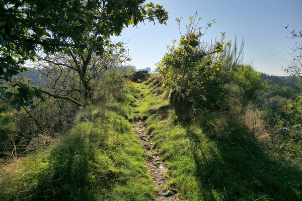 The emerald artery leading to the sky