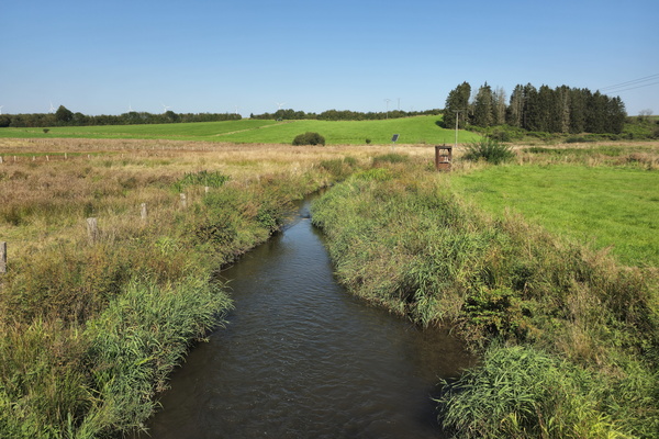 Where water meets the green