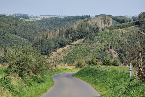 When the road goes bendy