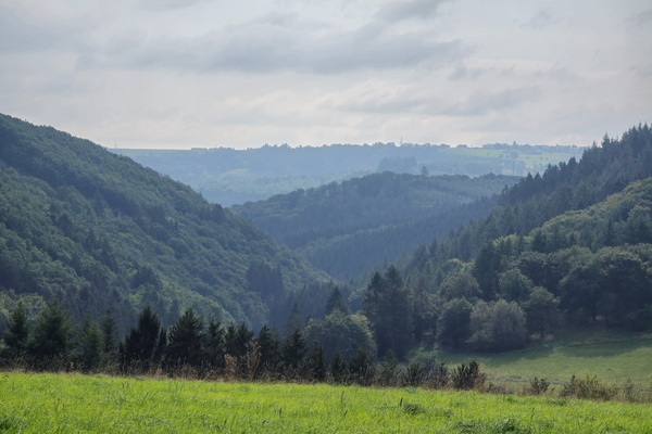Hills, thrills and chlorophyll pills