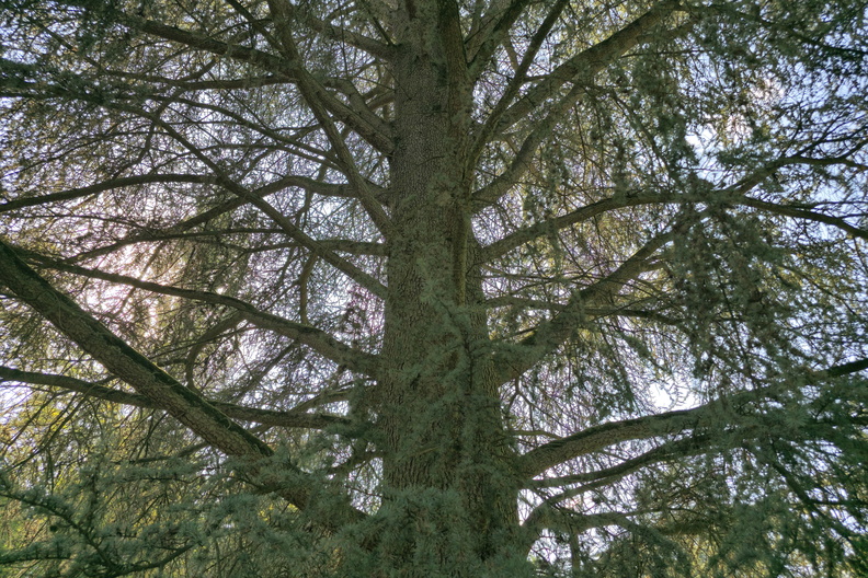 20240918_152817.jpg