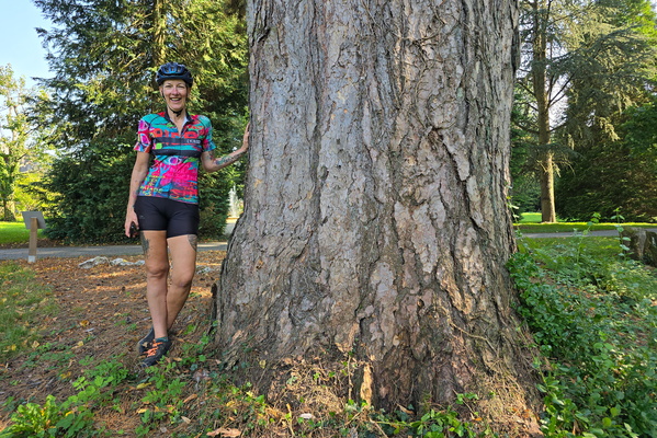 Nadia and the tree