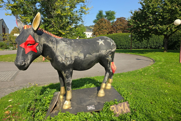 The resilient steed of the park
