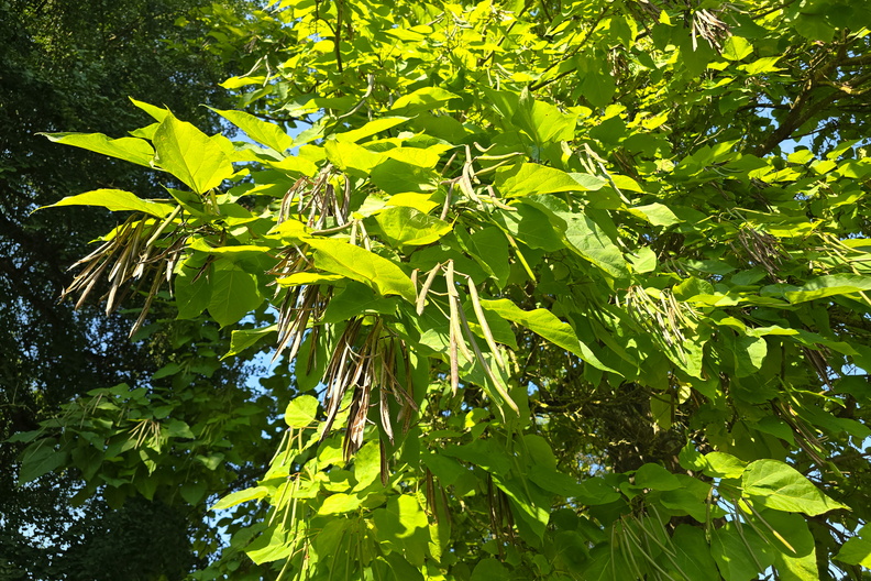 20240918_151519.jpg