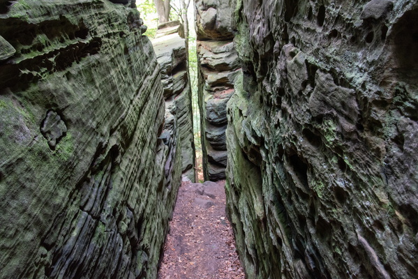 Nature's narrow escape