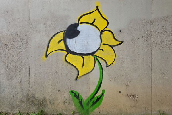 Art blooms on concrete