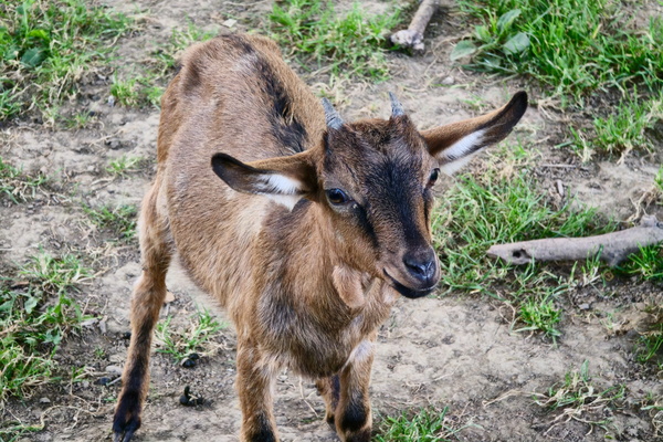 Meet the Sanem's kid