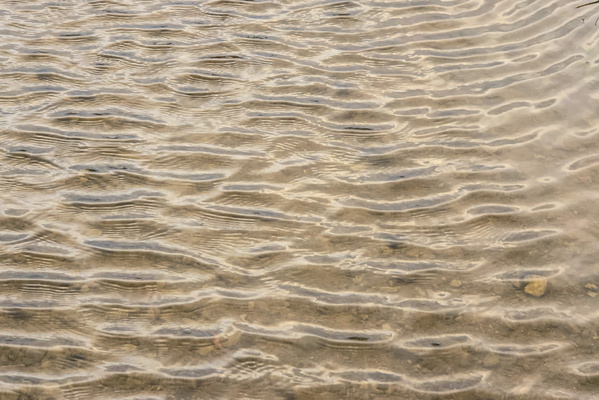 Surface agitation analysis