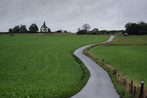 When the road goes rogue