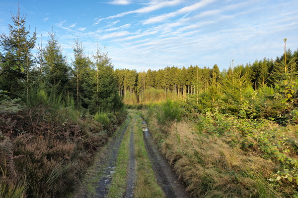 A path to explore, with nature as our guide