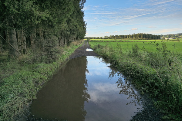 Puddle-hopping in Noville