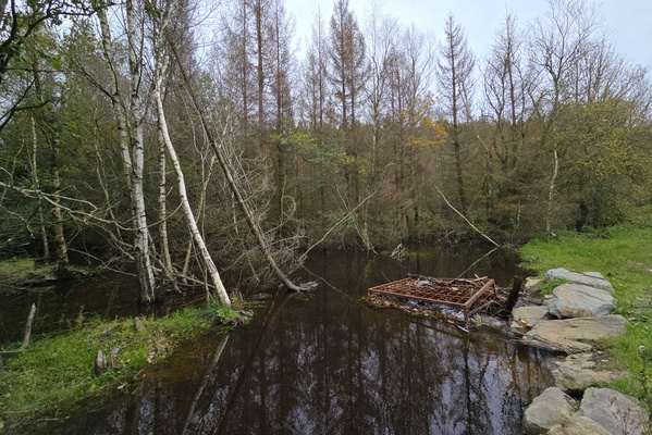 Lost your wheel, found a swamp!