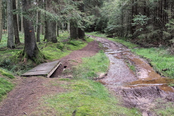 Muddy tracks and wooden planks