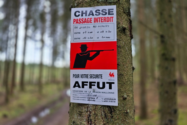 No passing, just hunting... probably