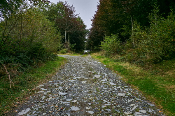 The path less travelled awaits