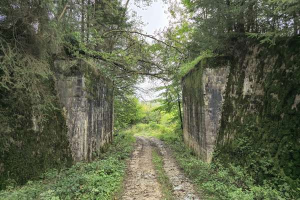The moss-guarded gates to the verdant passage