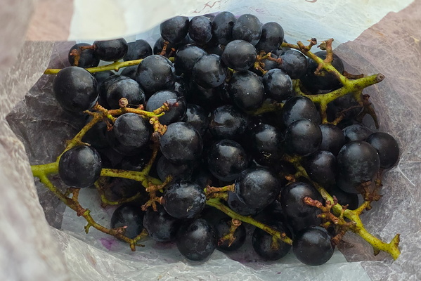 Grapes from the Moselle