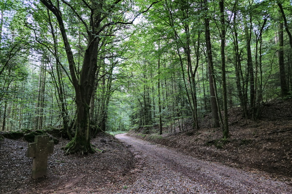Gravel to go, go to go