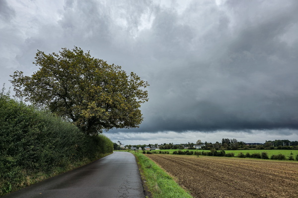 Cloudy with a chance of cycle