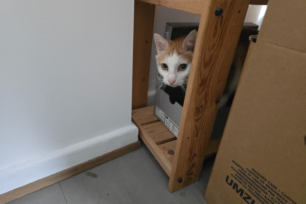 Timmy's secret hideaway