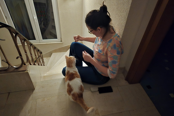 The catnip chronicles: Timmy's treat