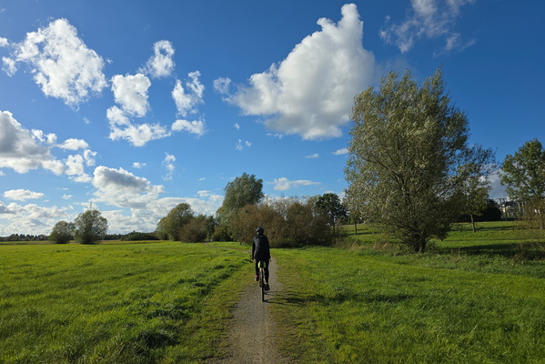 Freedom on two wheels