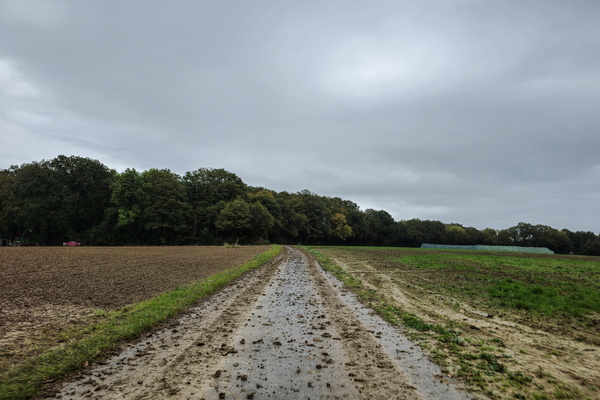 Mud, mud on the paved track!