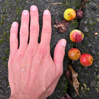 20241007_171234.jpg
