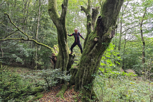 Tree hugger in training