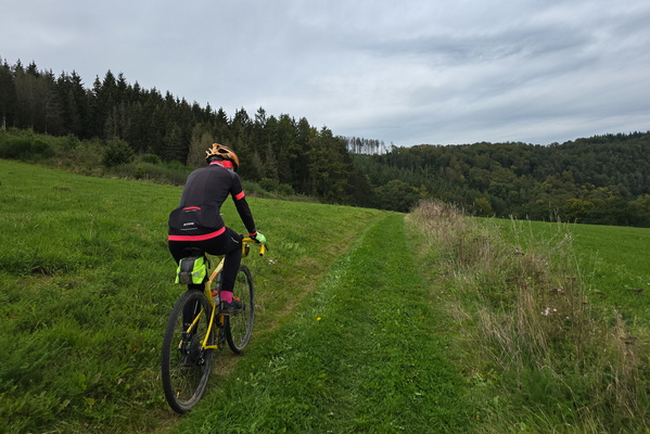 Freedom on two wheels