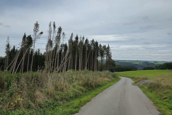 Road less travelled (and slightly wonky)