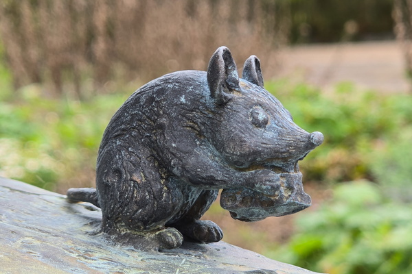 A weighty matter for a little mouse
