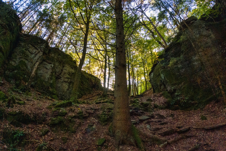 20241005_165258.jpg