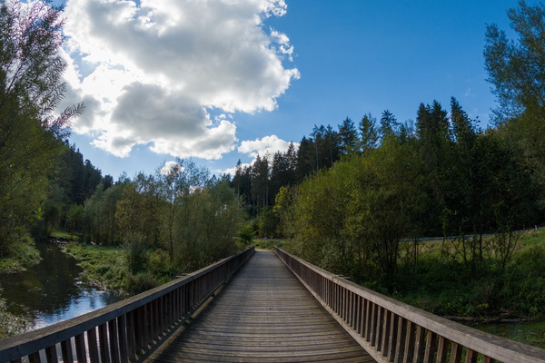 Bridge to nowhere... or somewhere lovely