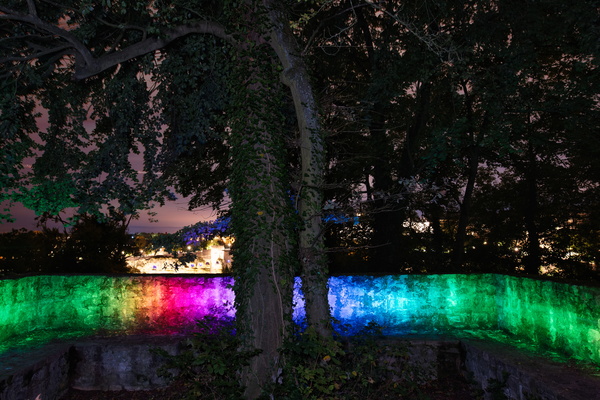 Tree-mendous light (painting) show