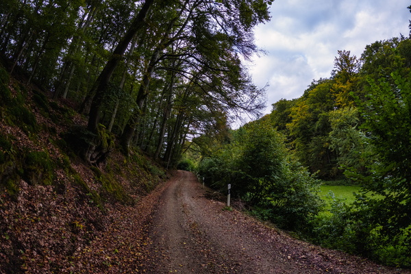 The trail calls to the adventurous soul