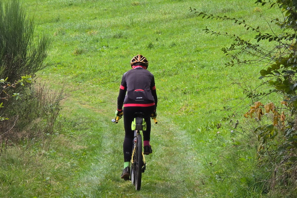 Wheels of fortune, grass of course!