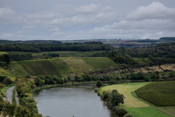 A gentle pulse of the Moselle