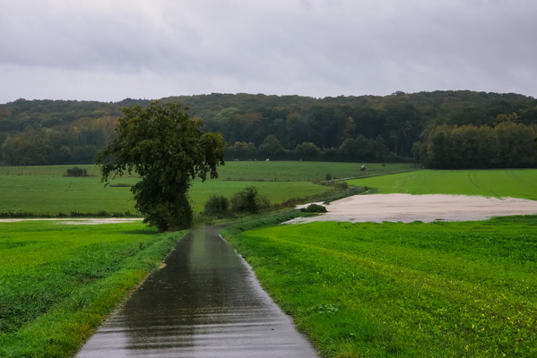 Just another day in paradise... flooded paradise