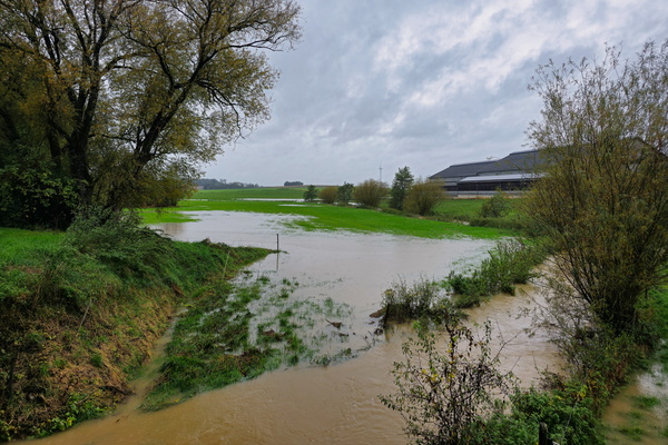 Just a little puddle, nothing to see here