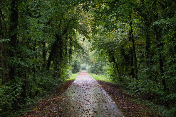 Just another boringly beautiful cycle path
