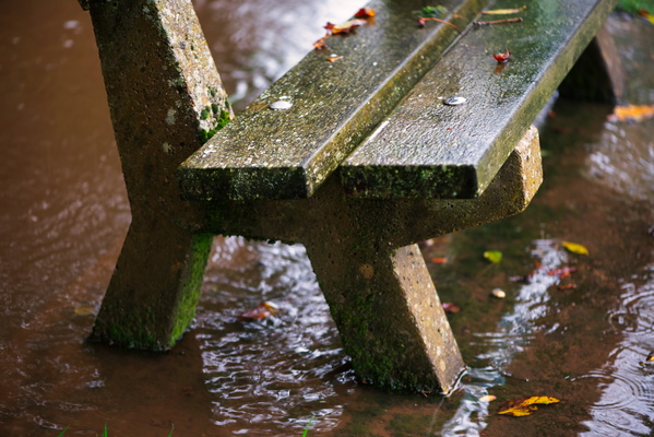 A slightly damp spot for a rest