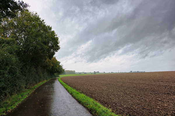 The promise of a rainy landscape