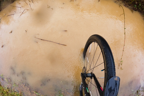 Wheelie bad weather