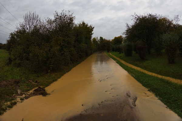 Muddy puddle paradise