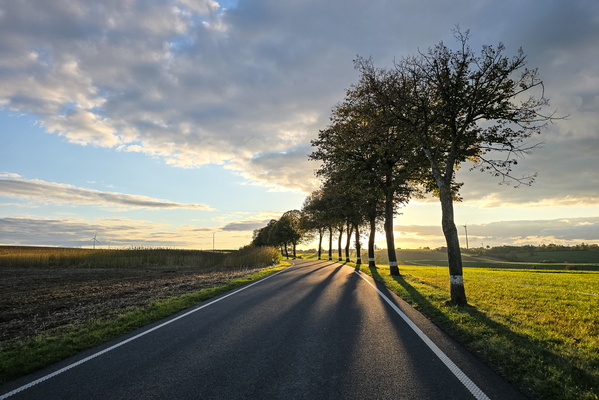 Golden hour highway