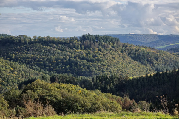 The hills have eyes (and trees)