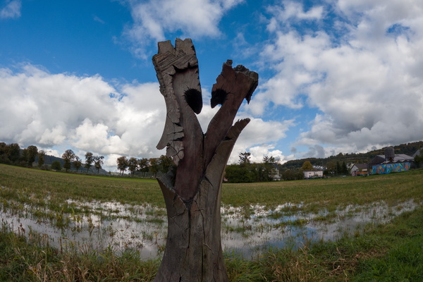 Heart of the matter (it's a hollow heart, and a flooded field!)